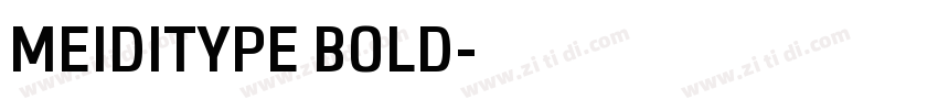 MEIDITYPE BOLD字体转换